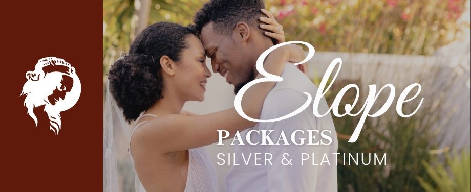 Elope Weddings - Silver &amp; Platinum